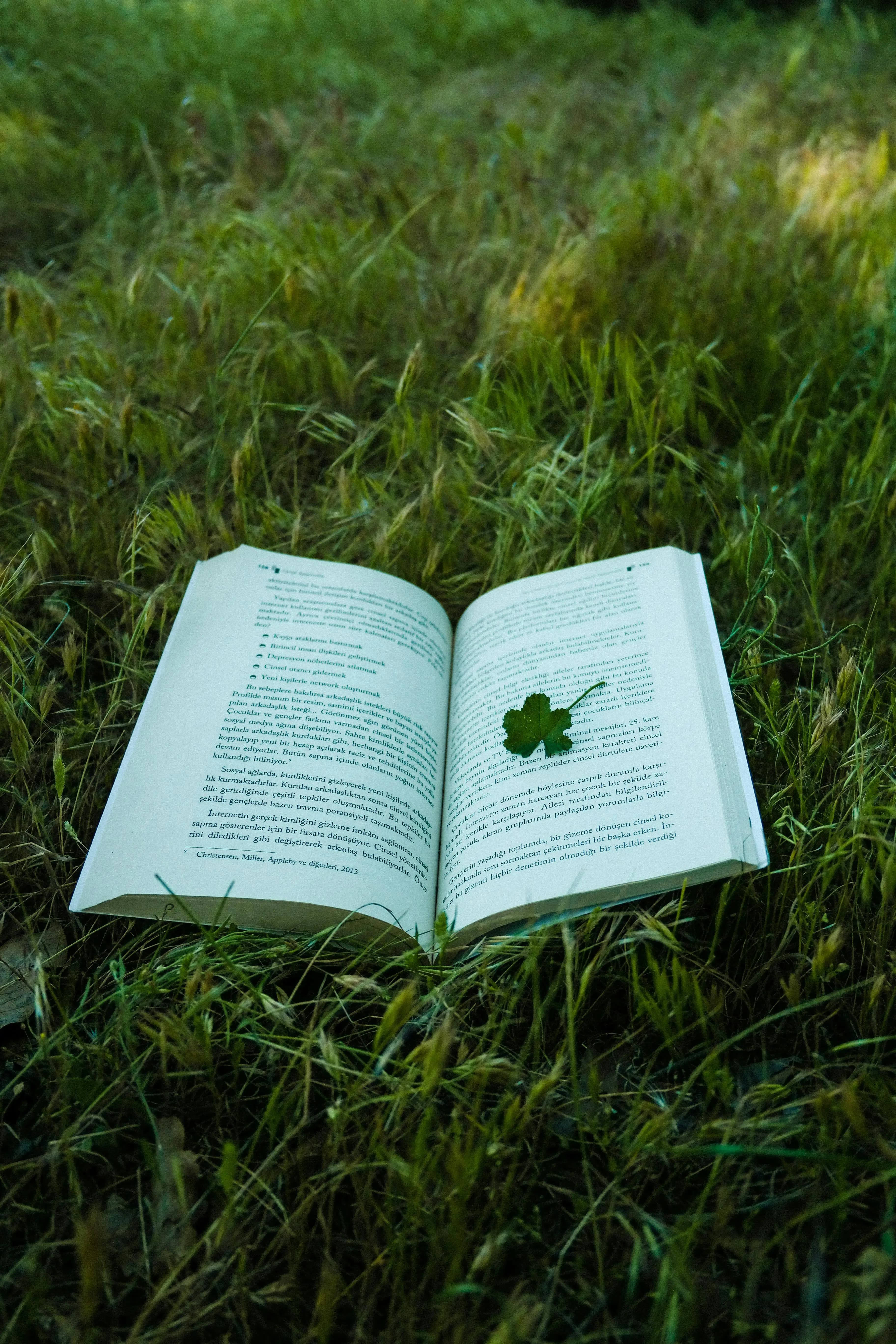 Открытая книга на траве
